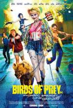 Birds of Prey 2020 Dual Audio Hindi 480p BluRay 300MB Filmy4Wap