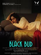 Black Bud 2021 Full Movie Download Filmy4Wap