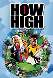 How High 2001 Dual Audio Hindi 480p Filmy4Wap